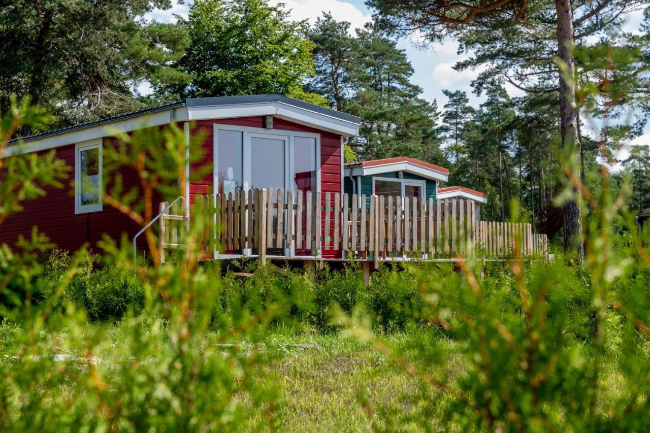 Naturcamping Lueneburger Heide - Chalets & Tiny Haeuser 索尔陶 外观 照片