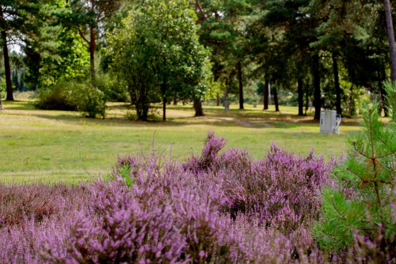 Naturcamping Lueneburger Heide - Chalets & Tiny Haeuser 索尔陶 外观 照片