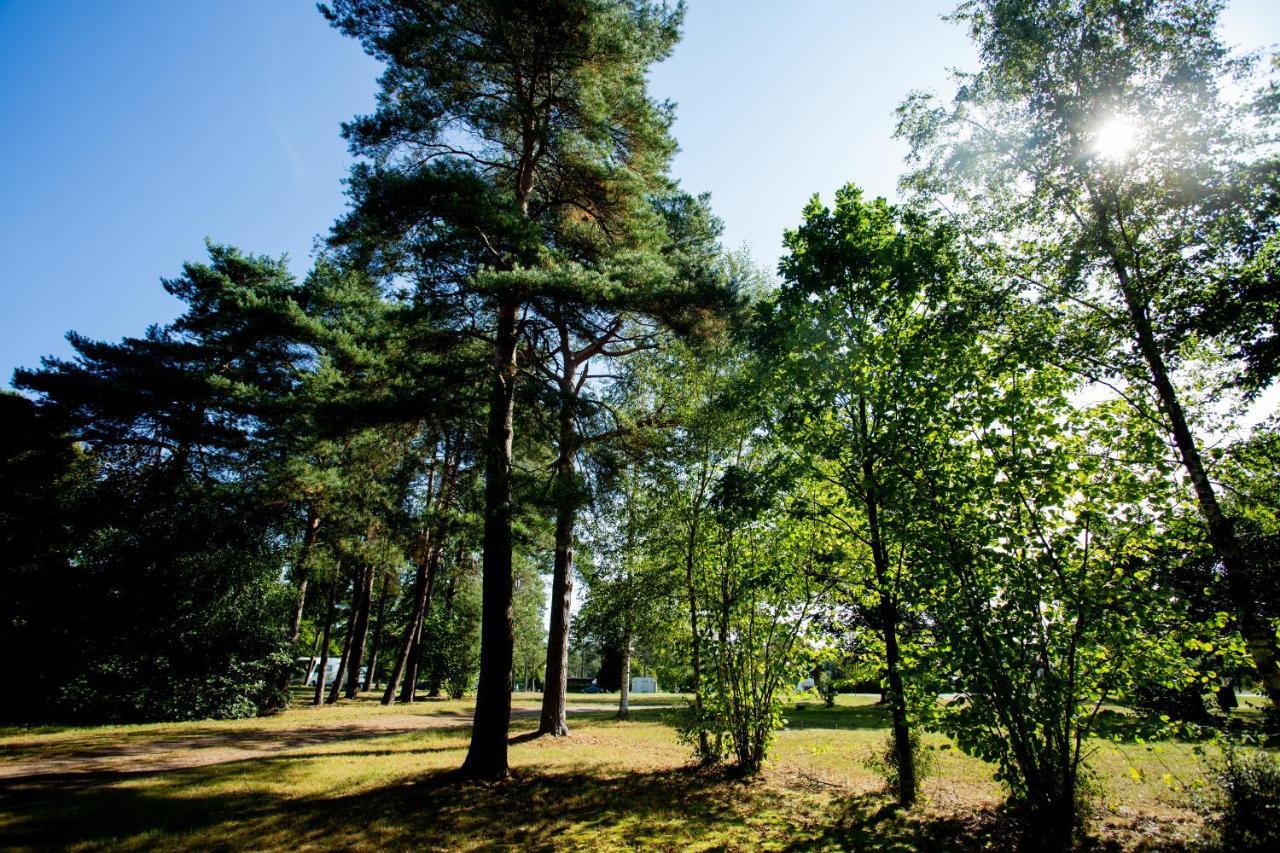 Naturcamping Lueneburger Heide - Chalets & Tiny Haeuser 索尔陶 外观 照片