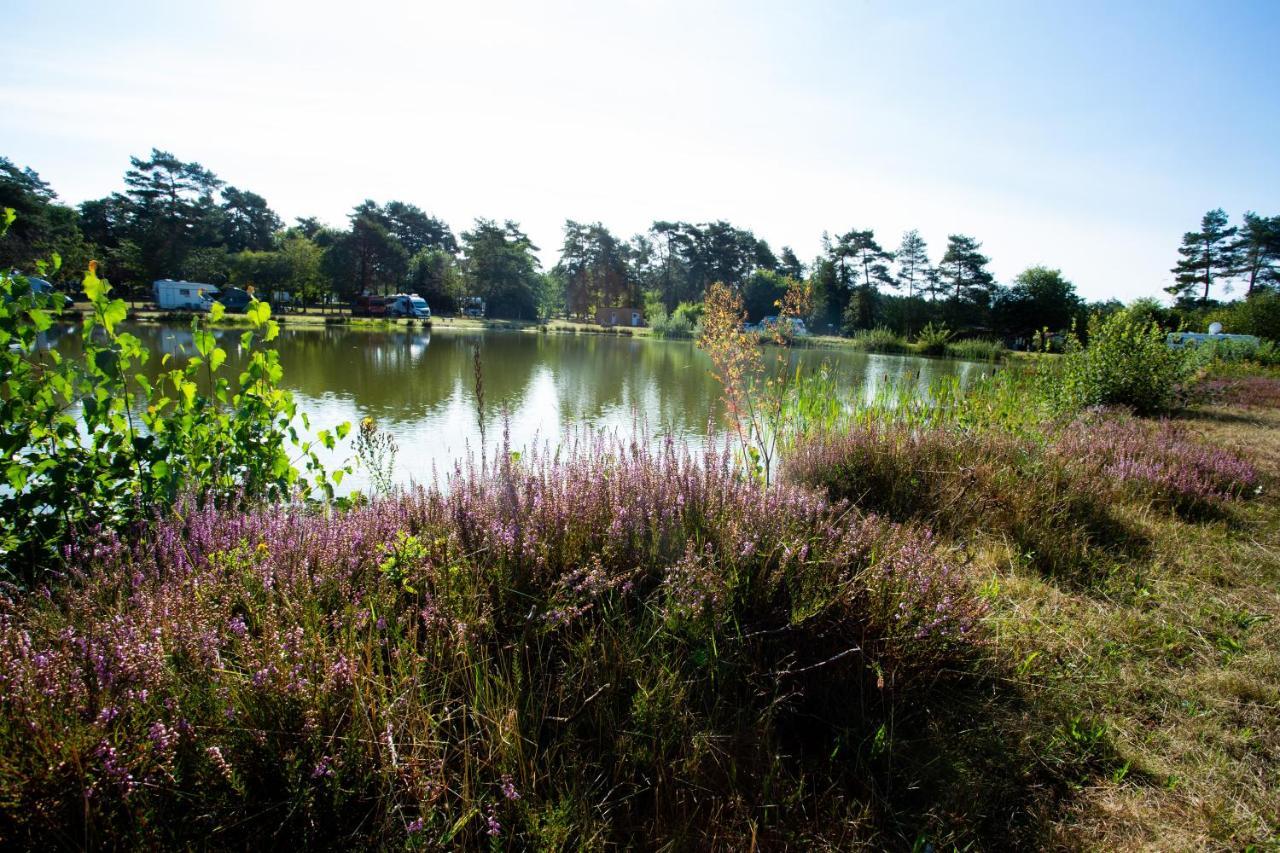 Naturcamping Lueneburger Heide - Chalets & Tiny Haeuser 索尔陶 外观 照片