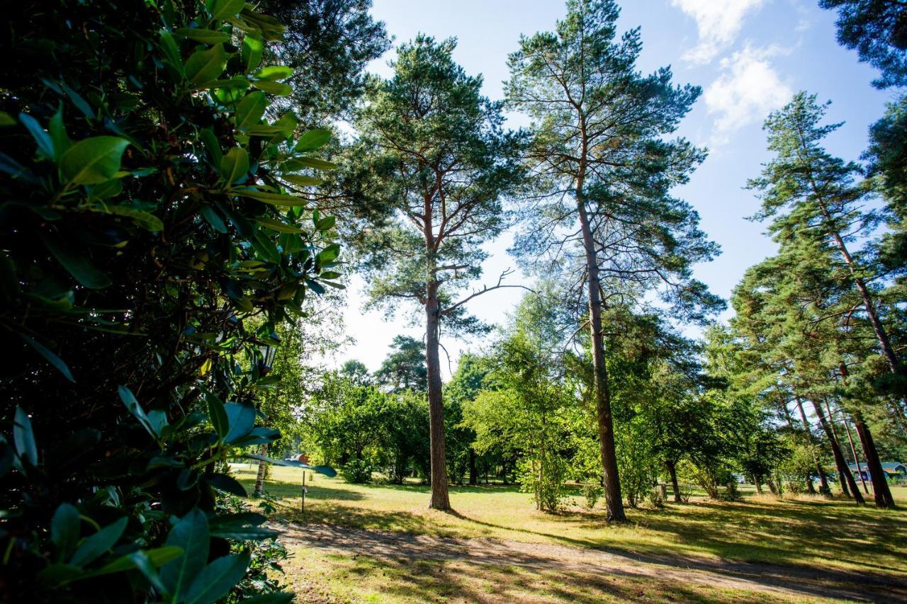 Naturcamping Lueneburger Heide - Chalets & Tiny Haeuser 索尔陶 外观 照片